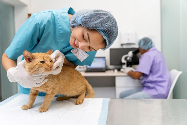 Encontre a Clínica Veterinária Próximo a Mim: Dicas e Recomendações