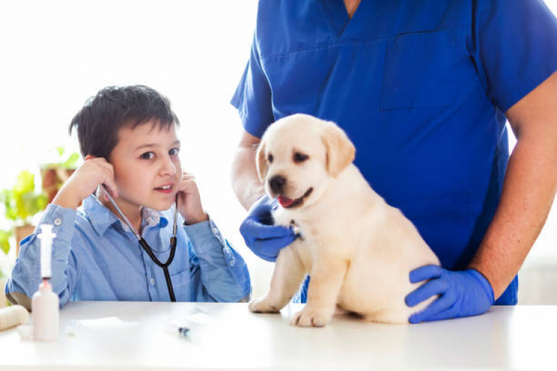 Clinica 24h Veterinaria Chácaras Esperança - Clínica de Veterinário Londrina