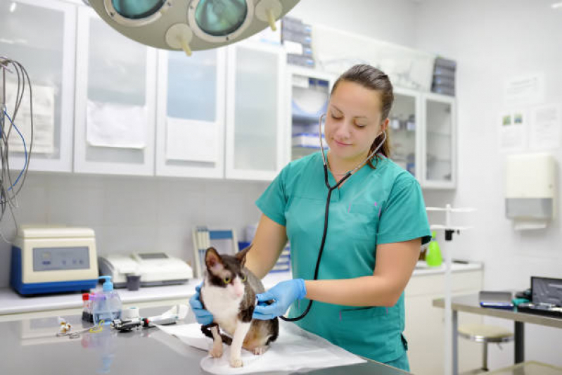 Clínica com Ortopedista de Cachorro Aeroporto - Ortopedista para Gatos