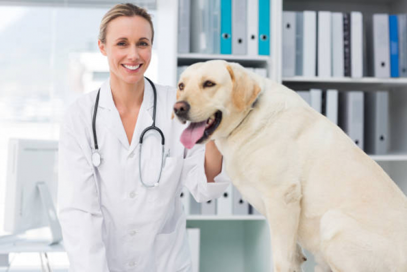 Clínica de Veterinário Chácaras Esperança - Clinica Pet Londrina