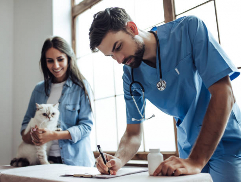 Clínica Especializada em Felinos Telefone Interlagos - Clínica Veterinária para Castrar Gatos