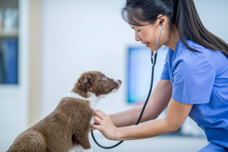 Clínica Veterinária Popular Contato Sabará - Clínica Veterinária Próxima