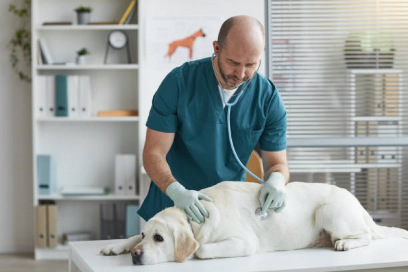 Contato de Clinica Medica Veterinaria Parque das Indústrias - Clinica Pet Londrina