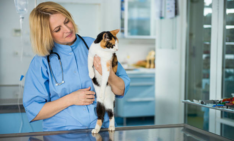 Diagnóstico de Doença Animal Agendar Parque Industrial - Diagnóstico de Doença de Cachorros