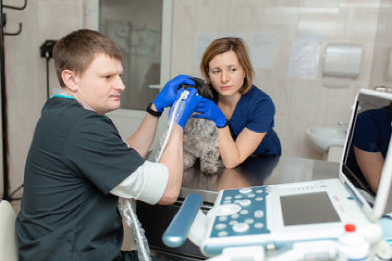 Diagnóstico de Doença Animal Cafezal - Diagnóstico por Imagem em Pequenos Animais