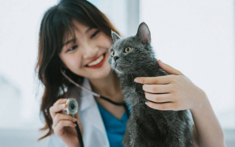 Endereço de Clínica Veterinária Especialista em Gatos Parque das Indústrias - Clínica para Gatos e Cachorros