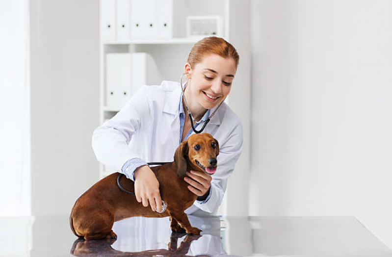 Endereço de Farmácia Veterinária 24h Vivi Xavier - Farmácia Veterinária 24h Londrina