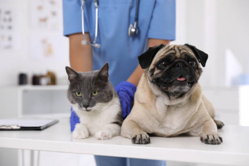 Endereço de Farmácia Veterinária de Manipulação Vila Nova - Farmácia Veterinária 24h Londrina