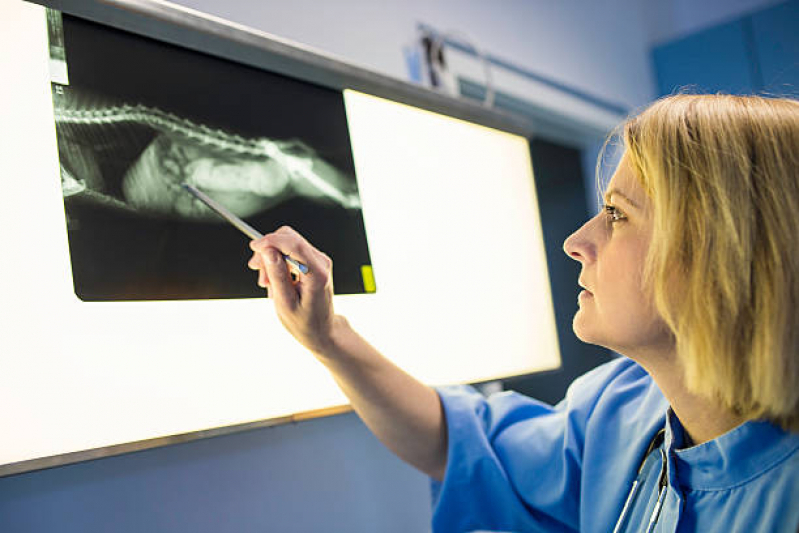 Endereço de Laboratório de Análises Veterinárias Saltinho - Laboratório para Exames em Animais