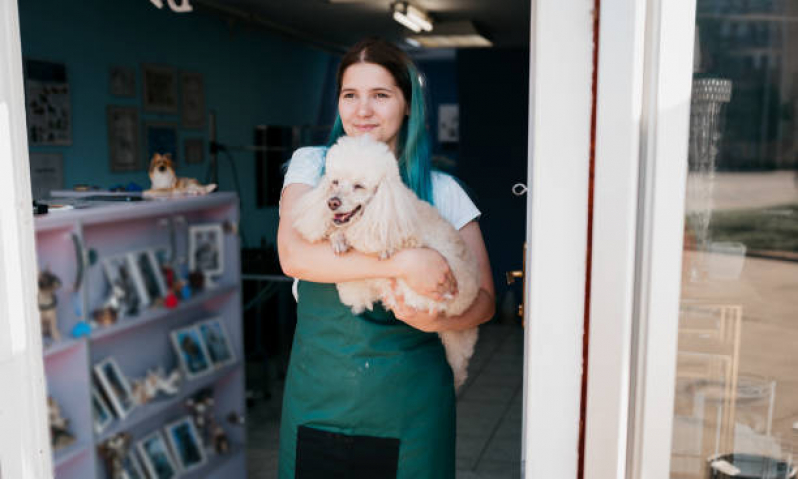 Endereço de Pet Shop Banho e Tosa Vila Brasil - Pet Shop nas Proximidades Londrina