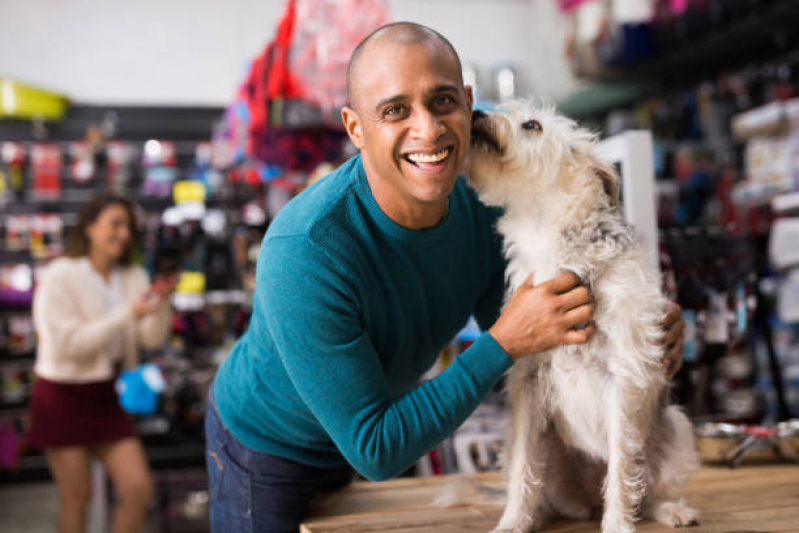 Endereço de Pet Shop Perto de Mim Banho e Tosa Tucanos - Pet Banho e Tosa Londrina