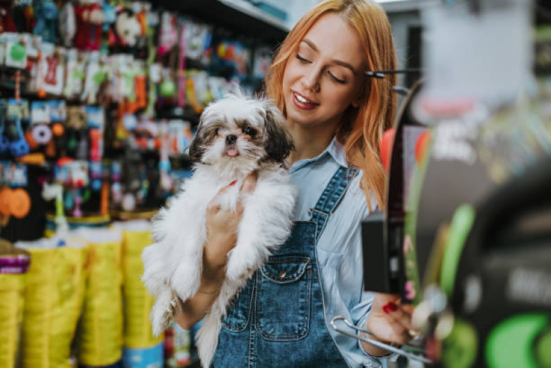 Endereço de Pet Vet Shop Cambé - Pet Banho e Tosa Londrina