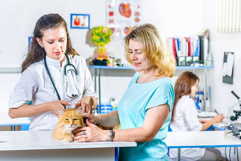 Exame de Sangue para Animais Agendar Conjunto Vivi Xavier - Exames Laboratoriais para Cachorro