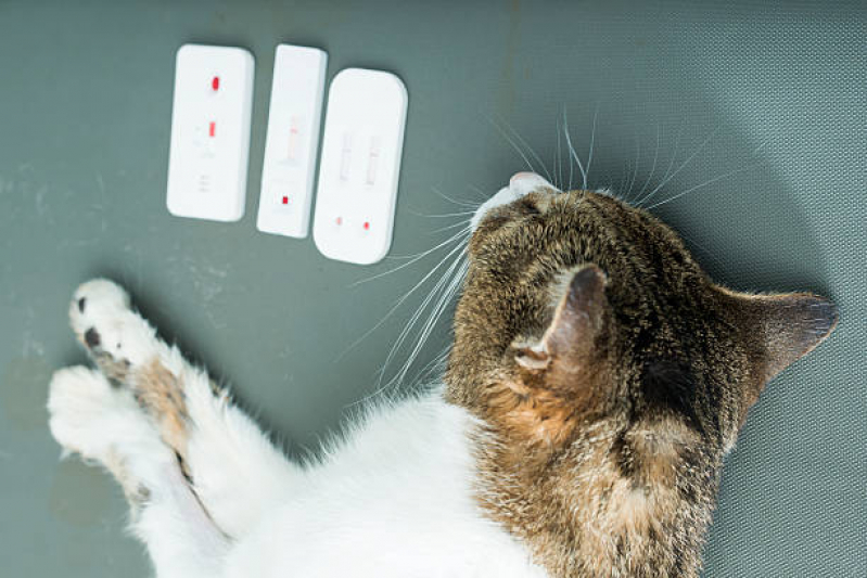 Farmácia para Animais Jardim Pacaembu - Farmácia para Animais Londrina