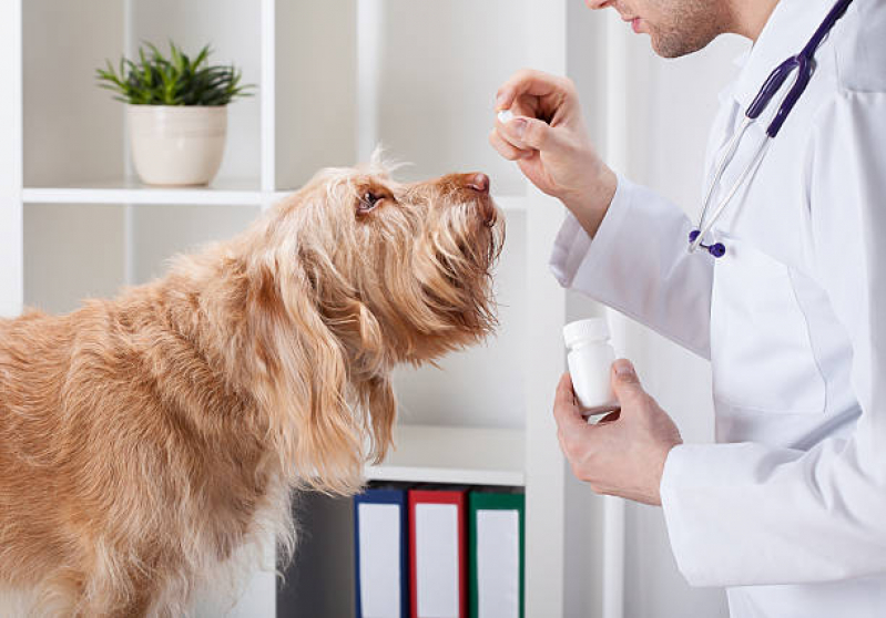 Farmácia Veterinária 24h Perto de Mim Jardim Presidente - Farmácia para Animais Londrina