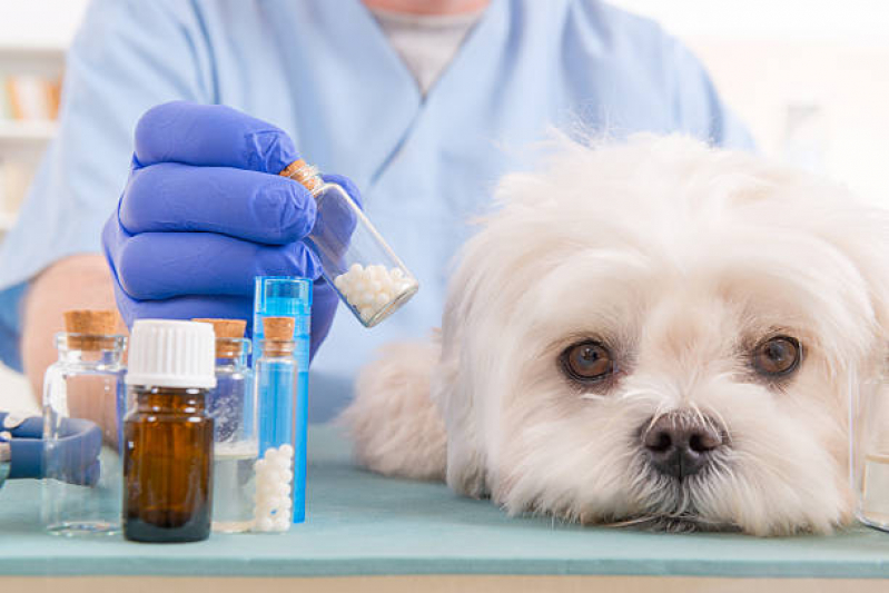 Farmácia Veterinária Mais Próxima Contato Cafezal - Farmácia de Manipulação Veterinária Londrina