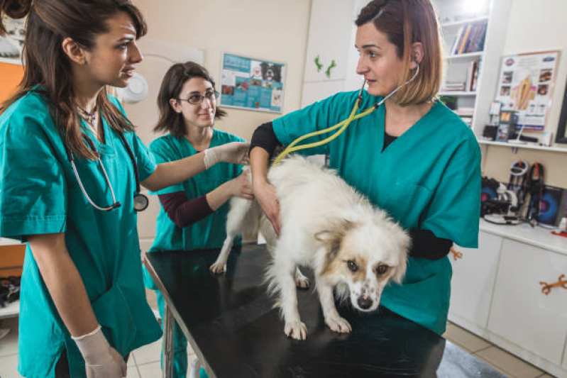 Internação Diária para Animais Clínica Shangri-lá - Internação para Parvovirose