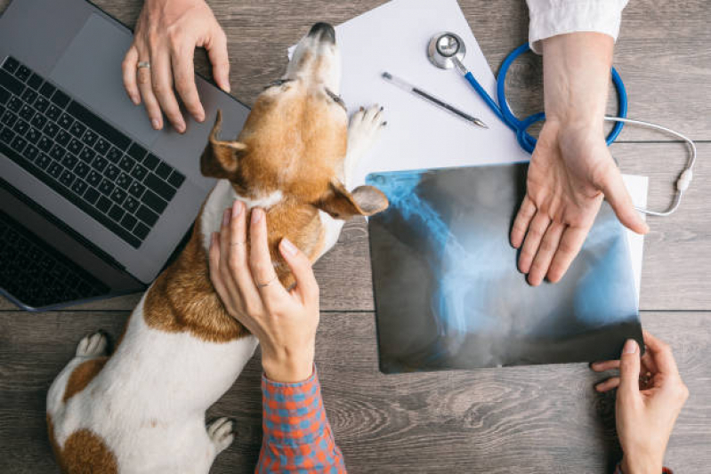 Laboratório de Medicina Veterinária Telefone Cinco Conjuntos - Laboratório para Exames em Animais