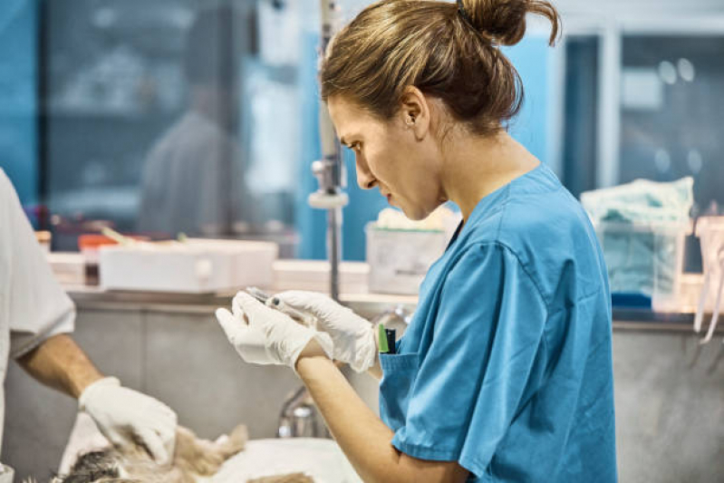 Laboratório para Exames em Animais Telefone Nova Esperança - Laboratório para Pets