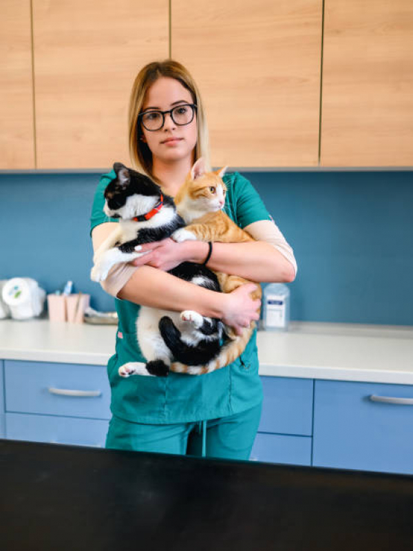 Onde Agendar Consulta com Veterinário Cilo 3 - Consulta no Veterinário Londrina