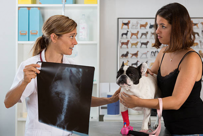 Onde Agendar Exame de Raio X Pet Jardim Ideal - Exames Laboratoriais para Cachorro