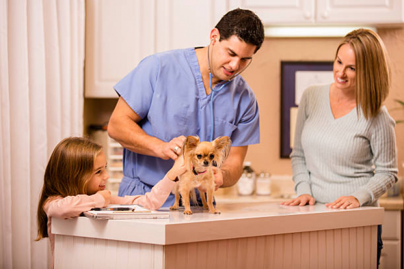 Onde Marcar Consulta no Veterinário Vila Nova - Consulta Médico Veterinário Londrina