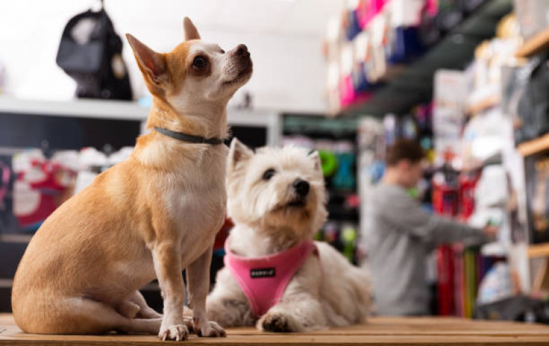 Onde Tem Pet Shop nas Proximidades Jardim Califórnia - Pet Banho e Tosa Londrina