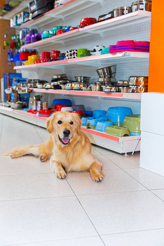 Onde Tem Pet Shop Próximo de Mim Centro - Pet Shop Banho e Tosa Londrina