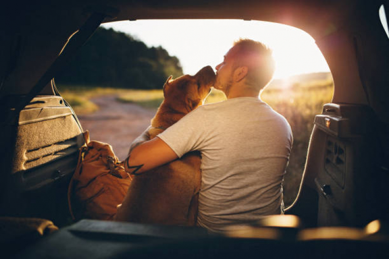 Onde Tem Transporte Taxi Dog Ernani Moura Lima - Transporte para Cães