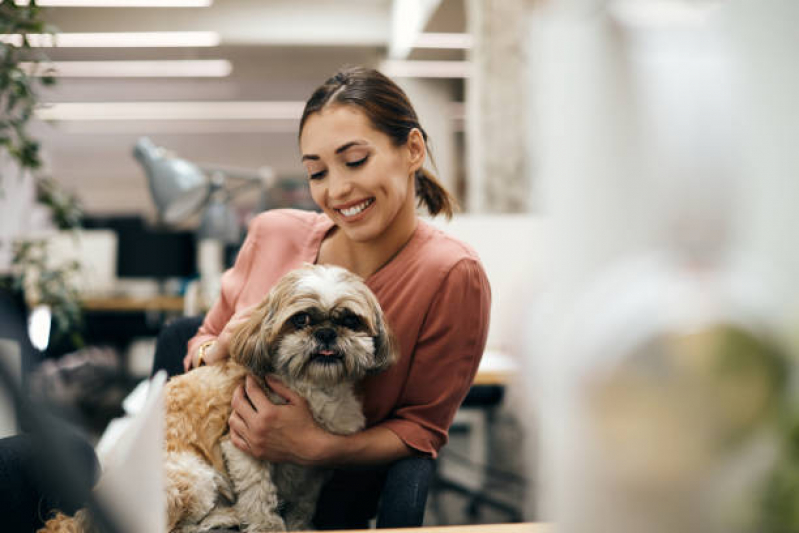 Pet Shop Banho e Tosa Parque Universidade - Pet Vet Shop Londrina