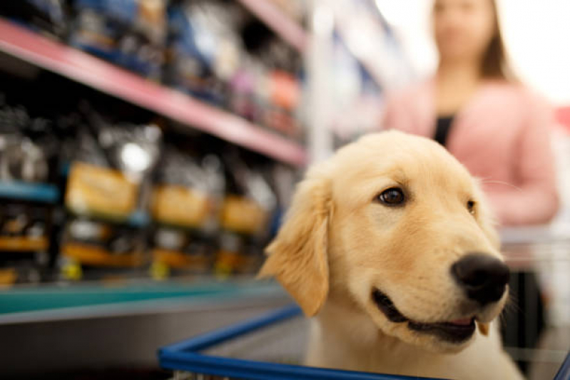 Pet Shop nas Proximidades Parque das Indústrias - Pet Shop Perto de Mim Banho e Tosa Londrina