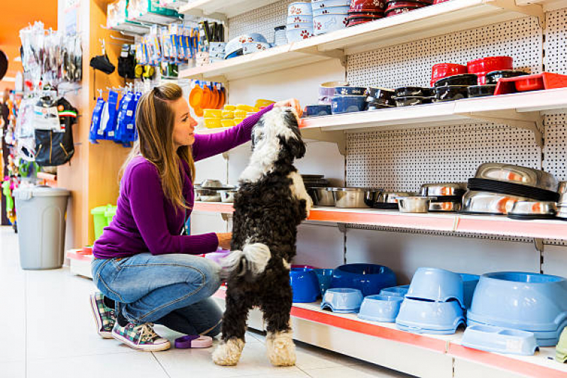 Pet Shop Próximo de Mim Vila Brasil - Pet Banho e Tosa Londrina