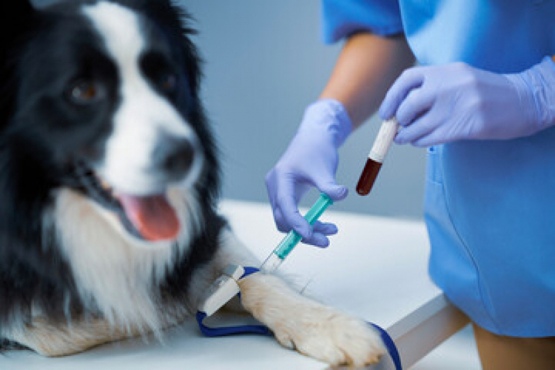 Telefone de Laboratório Veterinário Pet Centro - Laboratório para Exames em Animais