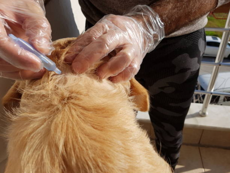 Teste da Doença do Carrapato Marcar Conjunto Parigot de Souza - Teste para Detectar Doença do Carrapato em Cães