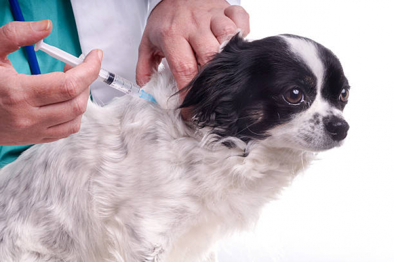 Teste de Leishmaniose em Cachorros Agendar Conjunto Ernani Moura Lima - Teste de Leishmaniose Canina