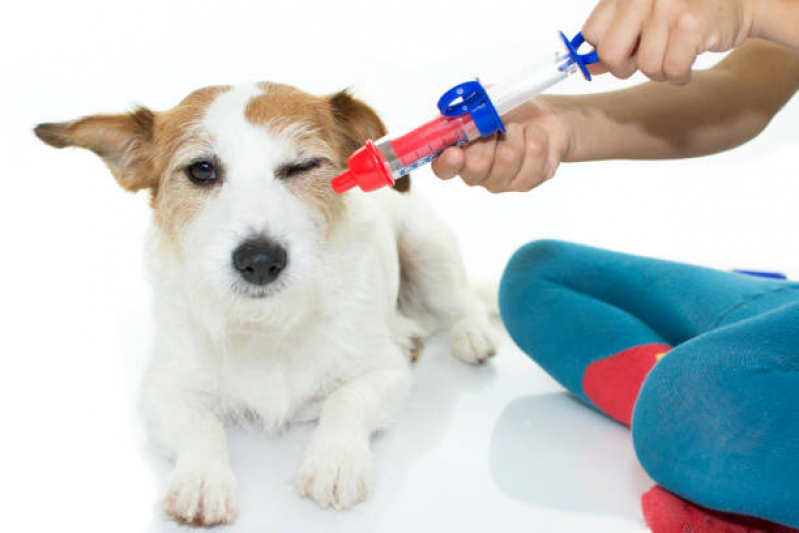 Teste de Pcr Leishmaniose Canina Parigot de Souza - Teste para Leishmaniose