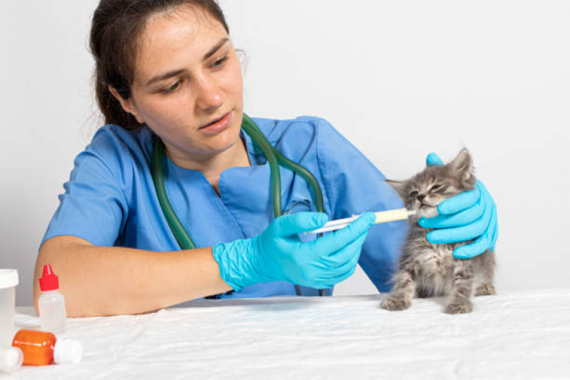 Teste Leishmaniose Sabará - Teste Pcr Leishmaniose Canina