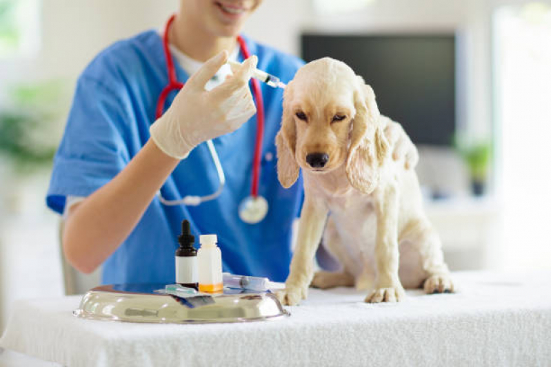 Teste Pcr Leishmaniose Canina Clínica Chácaras Esperança - Teste para Leishmaniose