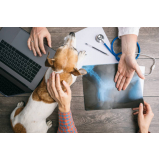 agendamento de exame de raio x para cachorro Rolância