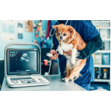 agendamento de exames laboratoriais cachorros Parque das Indústrias
