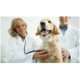 aplicação de vacina para cachorro Vila Brasil