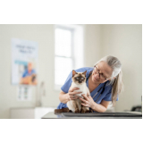 aplicação de vacina v5 para gatos Jardim Califórnia