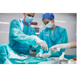 cirurgia mastectomia cachorro Bela Suíça