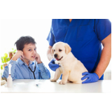 cirurgia oftalmológica para cachorros União da Vitória