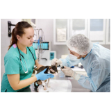 cirurgia ortopédica para cachorros agendar Interlagos