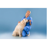 clínica especializada em vacina de raiva para cachorro Conjunto Parigot de Souza