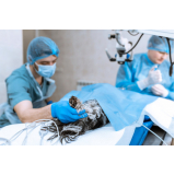 clinica que faz cirurgia ortopédica em cães e gatos Parigot de Souza