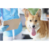 clínica que faz exame de leishmaniose em cães Shangri-lá