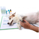 clínica que faz teste de leishmaniose em cachorros Shangri-lá