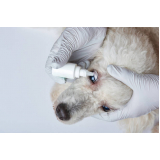 clínica que faz teste leishmaniose canina Vila Fraternidade